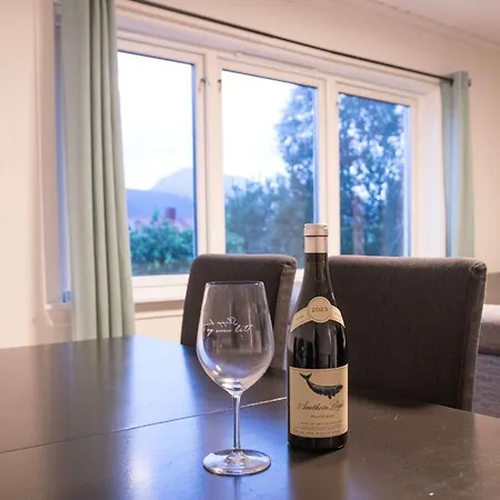 Stylish 2br In The Heart Of * Τρόμσο